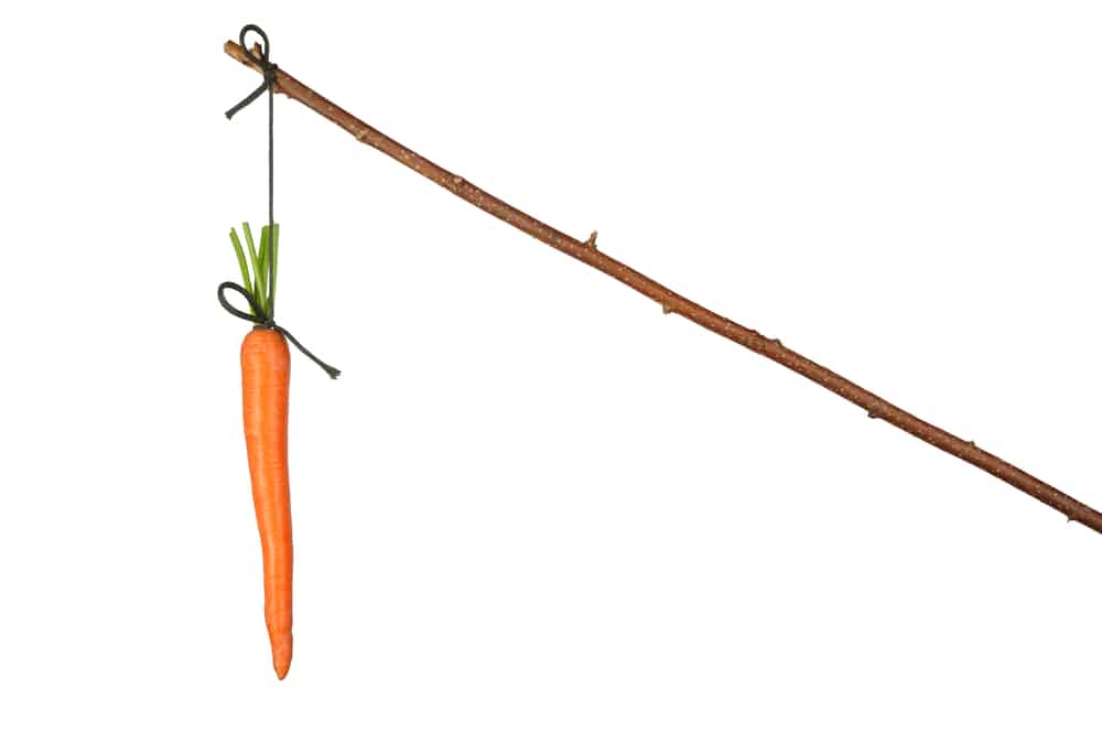 A carrot hung from a stick.