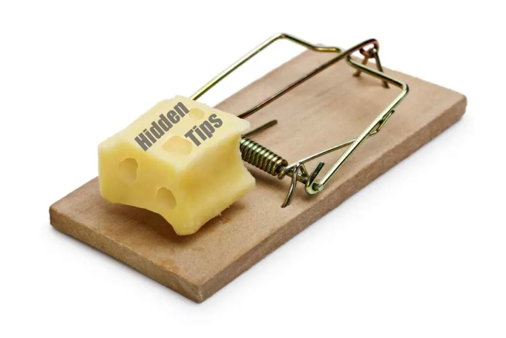 A piece of cheese labeled Hidden Tips sits as bait on a mouse trap that is ready to spring shut.
