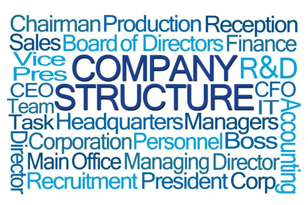Word cloud centering on the phrase Company Structure.